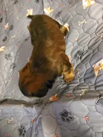 processed/9c1e9092-9436-4978-8adf-d2fe056367ff/listing/c97b94d1-2650-428c-8942-162cd1e8d0bb/4226ee19-ee94-4d18-bd74-1bed1245b3fd