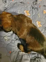 processed/9c1e9092-9436-4978-8adf-d2fe056367ff/listing/c97b94d1-2650-428c-8942-162cd1e8d0bb/4fc0c66d-e58c-4518-8e9c-91694239564f