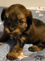 processed/9c1e9092-9436-4978-8adf-d2fe056367ff/listing/c97b94d1-2650-428c-8942-162cd1e8d0bb/5c6573e3-7621-45e7-9e35-161cfbcc6548