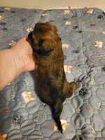 processed/9c1e9092-9436-4978-8adf-d2fe056367ff/listing/c97b94d1-2650-428c-8942-162cd1e8d0bb/bbcfe206-ab7f-4426-8945-f4c61f1ff22f