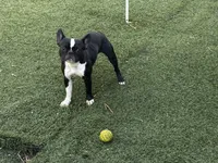 processed/9c22ef51-4cfd-44a1-8d83-be2814f468de/listing/036bdd36-69cd-402a-bf8f-95ea6deef2e1/06cf9609-c781-4539-a248-45e10e7ccee4