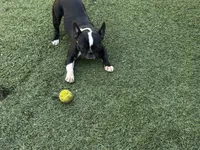 processed/9c22ef51-4cfd-44a1-8d83-be2814f468de/listing/036bdd36-69cd-402a-bf8f-95ea6deef2e1/1e3ec3b6-3545-42ce-9756-9a7d4fcabfcd