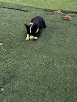 processed/9c22ef51-4cfd-44a1-8d83-be2814f468de/listing/036bdd36-69cd-402a-bf8f-95ea6deef2e1/40124390-83e8-4b1a-9b90-5f0ba55da868