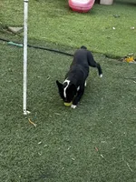 processed/9c22ef51-4cfd-44a1-8d83-be2814f468de/listing/036bdd36-69cd-402a-bf8f-95ea6deef2e1/e8c20622-c4a5-4aa4-a42c-49216dbd6487