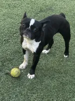 processed/9c22ef51-4cfd-44a1-8d83-be2814f468de/listing/036bdd36-69cd-402a-bf8f-95ea6deef2e1/fe42b416-2ef1-479f-8358-0779c6469455