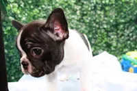 processed/9c22ef51-4cfd-44a1-8d83-be2814f468de/listing/14787b7e-2060-4116-8cf9-24cf8408b2fd/2f486d9d-796a-4305-a6a2-f3ef455ee06d