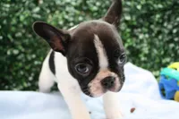 processed/9c22ef51-4cfd-44a1-8d83-be2814f468de/listing/14787b7e-2060-4116-8cf9-24cf8408b2fd/ab154906-7a66-4bde-bfa9-01c033a8edfc