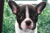 processed/9c22ef51-4cfd-44a1-8d83-be2814f468de/listing/14787b7e-2060-4116-8cf9-24cf8408b2fd/b55e0c08-1e9c-436e-8e3c-4e3bdec1be16