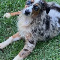 processed/9c22f5f0-198c-475a-9c00-7e3d005fc3fd/facility/037d505a-6f08-4709-9929-e59e18a5dc80