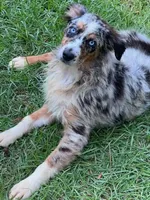 processed/9c22f5f0-198c-475a-9c00-7e3d005fc3fd/facility/037d505a-6f08-4709-9929-e59e18a5dc80