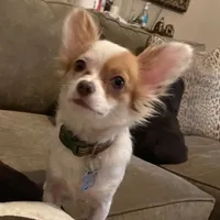 processed/9c22f5f0-198c-475a-9c00-7e3d005fc3fd/facility/0a773af7-7a44-4eed-835f-2eb5fac1c76f