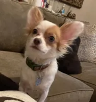 processed/9c22f5f0-198c-475a-9c00-7e3d005fc3fd/facility/0a773af7-7a44-4eed-835f-2eb5fac1c76f