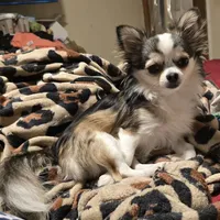 processed/9c22f5f0-198c-475a-9c00-7e3d005fc3fd/facility/79fdbf93-2e1e-462d-8389-fb95b2a78c58