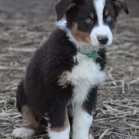 processed/9c22f5f0-198c-475a-9c00-7e3d005fc3fd/facility/7a2fed3b-a4d3-41ab-aca6-4a16e066bc5a