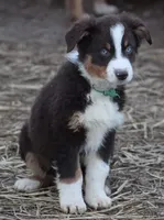 processed/9c22f5f0-198c-475a-9c00-7e3d005fc3fd/facility/7a2fed3b-a4d3-41ab-aca6-4a16e066bc5a