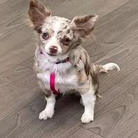 processed/9c22f5f0-198c-475a-9c00-7e3d005fc3fd/facility/8049c807-77a1-45ed-8de9-8fecfd17afcb