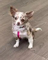 processed/9c22f5f0-198c-475a-9c00-7e3d005fc3fd/facility/8049c807-77a1-45ed-8de9-8fecfd17afcb