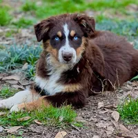 processed/9c22f5f0-198c-475a-9c00-7e3d005fc3fd/facility/a48f0bff-b994-4f69-95c2-d451c753b520