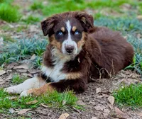 processed/9c22f5f0-198c-475a-9c00-7e3d005fc3fd/facility/a48f0bff-b994-4f69-95c2-d451c753b520