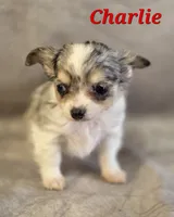 processed/9c22f5f0-198c-475a-9c00-7e3d005fc3fd/listing/0b626cfd-4bfe-4456-b760-41324fe75f50/32aa4b6f-2864-4049-8c75-8f6083811f9a