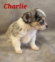 processed/9c22f5f0-198c-475a-9c00-7e3d005fc3fd/listing/0b626cfd-4bfe-4456-b760-41324fe75f50/6d072172-0078-4d92-9932-4a241f05ef26