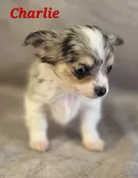 processed/9c22f5f0-198c-475a-9c00-7e3d005fc3fd/listing/0b626cfd-4bfe-4456-b760-41324fe75f50/75383c65-624b-4474-aa54-115d29be21f2