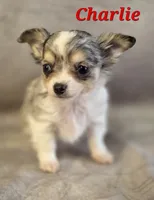 processed/9c22f5f0-198c-475a-9c00-7e3d005fc3fd/listing/0b626cfd-4bfe-4456-b760-41324fe75f50/ac2a0985-c5a0-4d42-ae62-bd9e8205c0d9