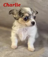 processed/9c22f5f0-198c-475a-9c00-7e3d005fc3fd/listing/0b626cfd-4bfe-4456-b760-41324fe75f50/ebec9b5c-b2e8-41c7-9609-aec227526b61