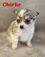 processed/9c22f5f0-198c-475a-9c00-7e3d005fc3fd/listing/0b626cfd-4bfe-4456-b760-41324fe75f50/fc175cd5-830d-46b7-905f-56aafc74c57e