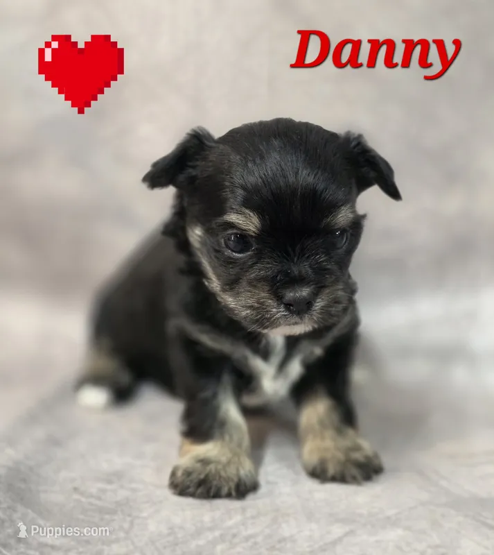 Danny