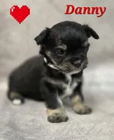 processed/9c22f5f0-198c-475a-9c00-7e3d005fc3fd/listing/26cb790d-2199-4474-9b98-5aa934bd5b65/26235600-1893-4609-bf09-e19871adad51