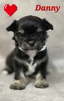 processed/9c22f5f0-198c-475a-9c00-7e3d005fc3fd/listing/26cb790d-2199-4474-9b98-5aa934bd5b65/397785fe-65b6-412d-9ebe-3f7db518d20c