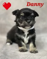 processed/9c22f5f0-198c-475a-9c00-7e3d005fc3fd/listing/26cb790d-2199-4474-9b98-5aa934bd5b65/42e9ade4-ac72-4532-a598-74f12aa75073