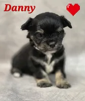 processed/9c22f5f0-198c-475a-9c00-7e3d005fc3fd/listing/26cb790d-2199-4474-9b98-5aa934bd5b65/4cbc070c-a015-45a7-9927-143cce2f6883