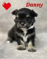 processed/9c22f5f0-198c-475a-9c00-7e3d005fc3fd/listing/26cb790d-2199-4474-9b98-5aa934bd5b65/92314a3c-0619-40bf-875c-ce8405b08f4d