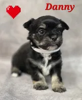 processed/9c22f5f0-198c-475a-9c00-7e3d005fc3fd/listing/26cb790d-2199-4474-9b98-5aa934bd5b65/92a72218-1ccc-49ed-b4fd-d8e56abbe952