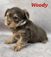 processed/9c22f5f0-198c-475a-9c00-7e3d005fc3fd/listing/6e458fd9-21a2-4a9b-8513-16e447bb6855/0bbf5562-4a88-4d32-98db-9ae7358a4a45