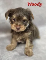 processed/9c22f5f0-198c-475a-9c00-7e3d005fc3fd/listing/6e458fd9-21a2-4a9b-8513-16e447bb6855/1df46899-ea98-40a6-a3e4-cf9eb010608d