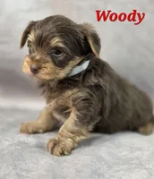 processed/9c22f5f0-198c-475a-9c00-7e3d005fc3fd/listing/6e458fd9-21a2-4a9b-8513-16e447bb6855/31c10fee-2750-4df4-86b4-2189b539adae