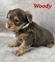 processed/9c22f5f0-198c-475a-9c00-7e3d005fc3fd/listing/6e458fd9-21a2-4a9b-8513-16e447bb6855/58094f42-58fe-47c5-9d85-22d0cd86eee6