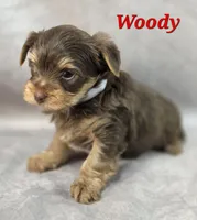 processed/9c22f5f0-198c-475a-9c00-7e3d005fc3fd/listing/6e458fd9-21a2-4a9b-8513-16e447bb6855/60812f31-7471-438a-8581-9cf2d4066437