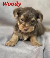 processed/9c22f5f0-198c-475a-9c00-7e3d005fc3fd/listing/6e458fd9-21a2-4a9b-8513-16e447bb6855/8f94e3c7-aff5-40ac-b67b-2203b391850b