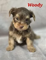 processed/9c22f5f0-198c-475a-9c00-7e3d005fc3fd/listing/6e458fd9-21a2-4a9b-8513-16e447bb6855/b885ad4d-3481-4933-8d0d-9bad90323c68