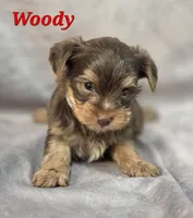 processed/9c22f5f0-198c-475a-9c00-7e3d005fc3fd/listing/6e458fd9-21a2-4a9b-8513-16e447bb6855/c422d5e2-f182-46f0-8aa8-b1b1f4977d73