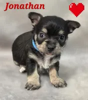 processed/9c22f5f0-198c-475a-9c00-7e3d005fc3fd/listing/af403b36-d02a-4b5a-bac9-ba542f9f565f/4790317a-4043-4b26-becb-3b2f1d97ed42