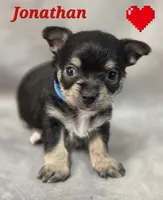 processed/9c22f5f0-198c-475a-9c00-7e3d005fc3fd/listing/af403b36-d02a-4b5a-bac9-ba542f9f565f/4bad99ce-318d-4d07-a1cd-020283c79a7b