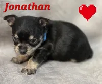 processed/9c22f5f0-198c-475a-9c00-7e3d005fc3fd/listing/af403b36-d02a-4b5a-bac9-ba542f9f565f/4c399405-5163-4e5d-a528-99585390ba49