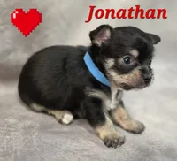 processed/9c22f5f0-198c-475a-9c00-7e3d005fc3fd/listing/af403b36-d02a-4b5a-bac9-ba542f9f565f/64a05c29-727c-4679-ace1-a863aef86b6c