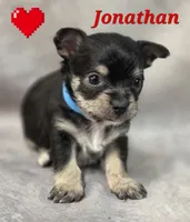 processed/9c22f5f0-198c-475a-9c00-7e3d005fc3fd/listing/af403b36-d02a-4b5a-bac9-ba542f9f565f/65d1fff3-4e91-4032-b286-49e425c7de2e