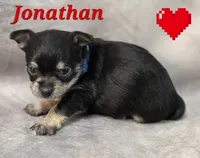 processed/9c22f5f0-198c-475a-9c00-7e3d005fc3fd/listing/af403b36-d02a-4b5a-bac9-ba542f9f565f/7ba28215-007d-4692-97c2-7e6d27ecdf29